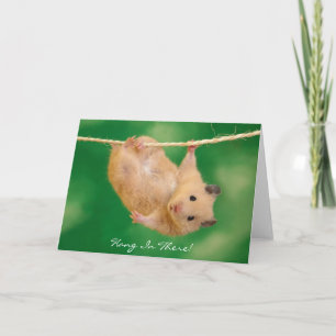 Hang In There! Hamster Card