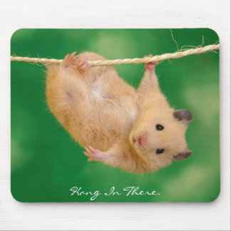 Hang in There Hamster Mouse Pad