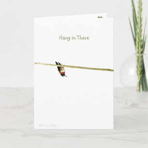 "Hang in There": Neighbourhood is Roosting for You Card