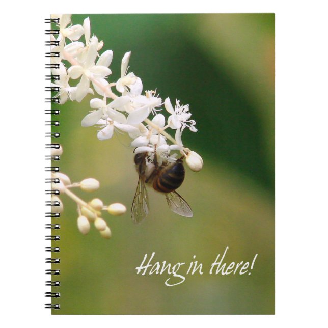 "Hang in There" Notebook (Front)