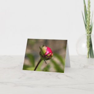 "Hang in There" Peony Folded Greeting Card