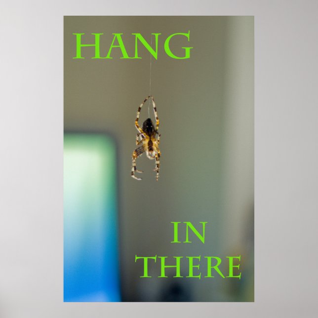 Hang in There Poster (Front)