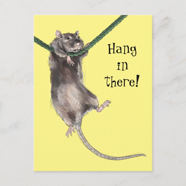 Hang In There Rat Postcard (Front)