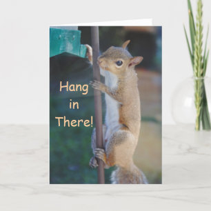 Hang in There, Squirrel hanging on bird feeder Card