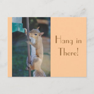 Hang in There, Squirrel Postcard
