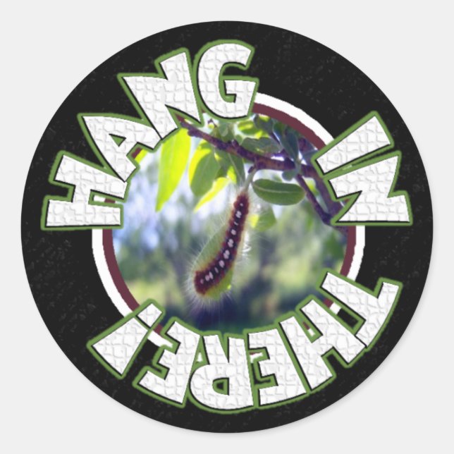 Hang In There Sticker (Front)