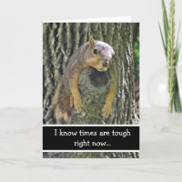 Hang in There, This Too Shall Pass, Cute Squirrel