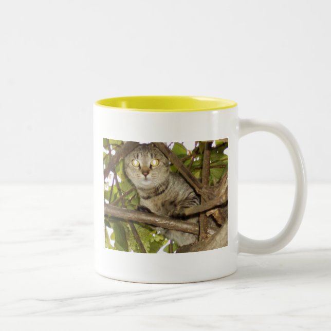 Hang in there Two-Tone coffee mug (Right)