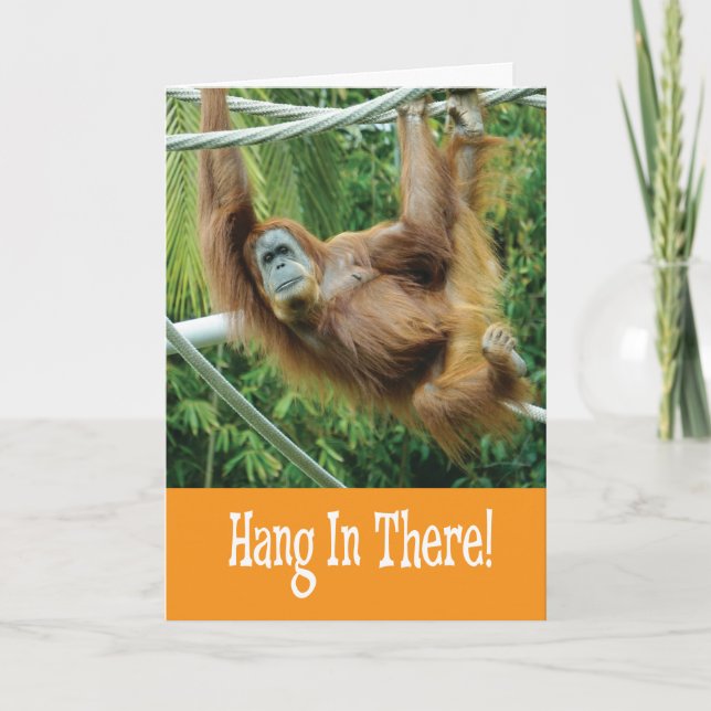 Hang in There with funny Orangutan in Tree Card (Front)