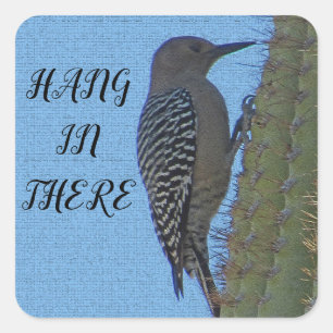 Hang in There Woodpecker Photo Saguaro Cactus Square Sticker