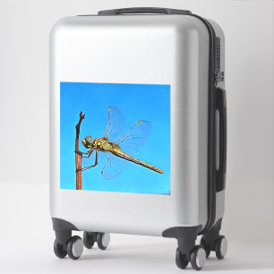 Hang On Artistic Dragonfly Against Cerulean Blue