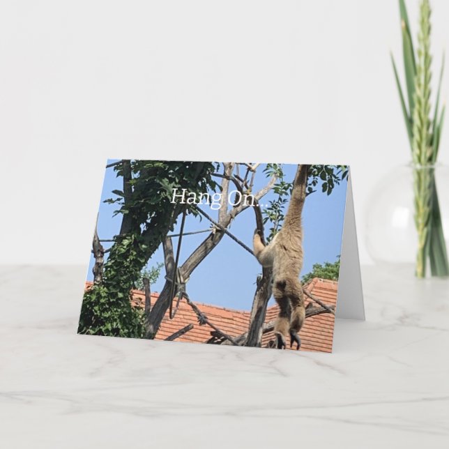 Hang On, Monkey Birthday Card (Front)