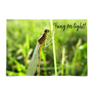 "Hang on Tight" Funny Dragonfly Encouragement Card