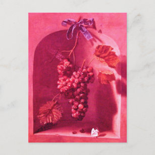 HANGED GRAPES Antique Viticulture,Rustic Vineyard Postcard