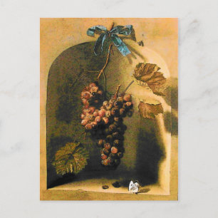 HANGED GRAPES Antique Viticulture,Rustic Vineyard Postcard