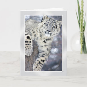 Hangin' Around....(w/border) Card