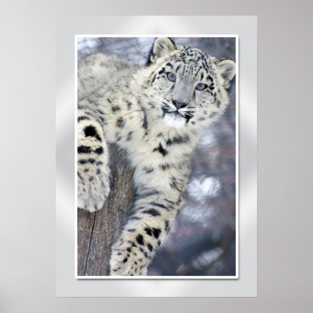 Hangin' Around....(w/border) Poster (Front)