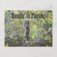 Hangin' in Florida