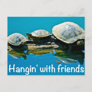 Hangin with friends postcard