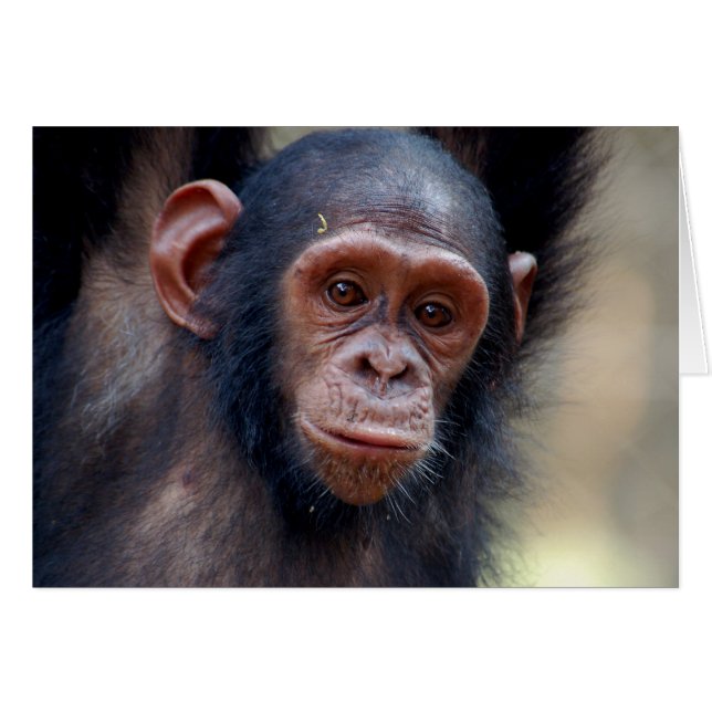 Hanging Around (Front Horizontal)