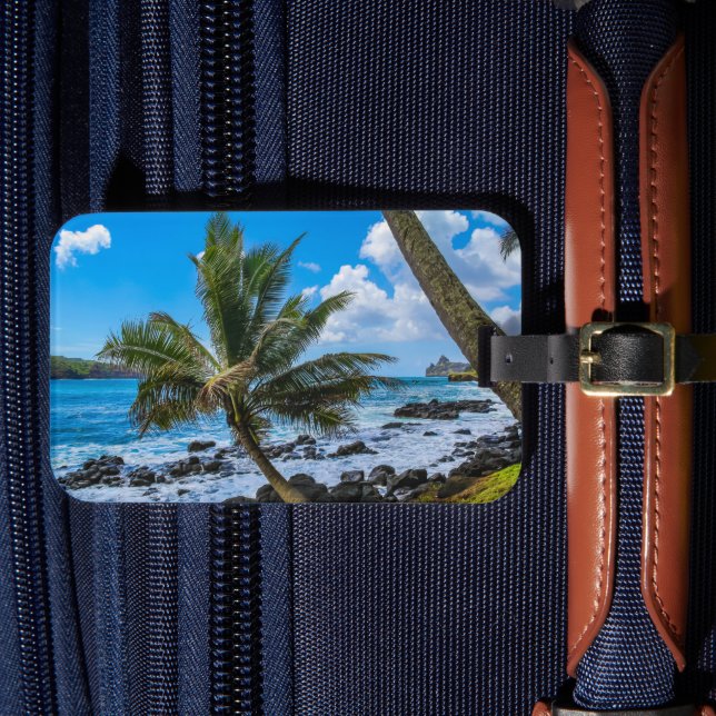 Hanging around... luggage tag (Front Insitu 4)