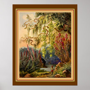 "Hanging Bamboo of Sri Lanka" by Haeckel ca. 1882 Poster