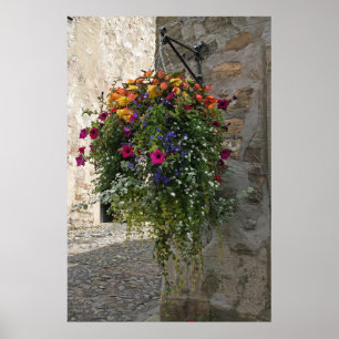 Hanging Basket Poster