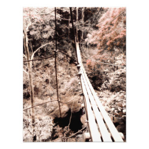 hanging bridge photo print