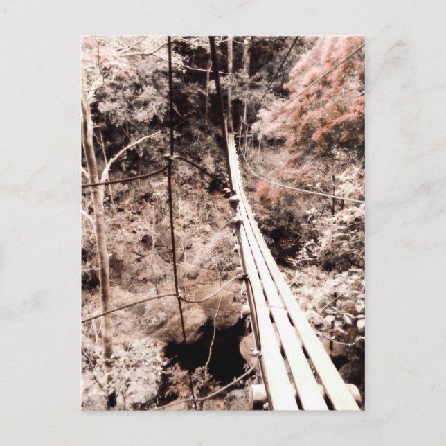 hanging bridge postcard (Front)