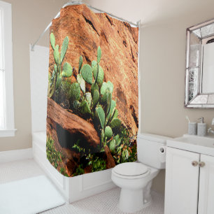 Hanging Cactus Garden on Red Rocks Shower Curtain