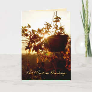 Hanging Garden Sun Twinkle Greeting Card