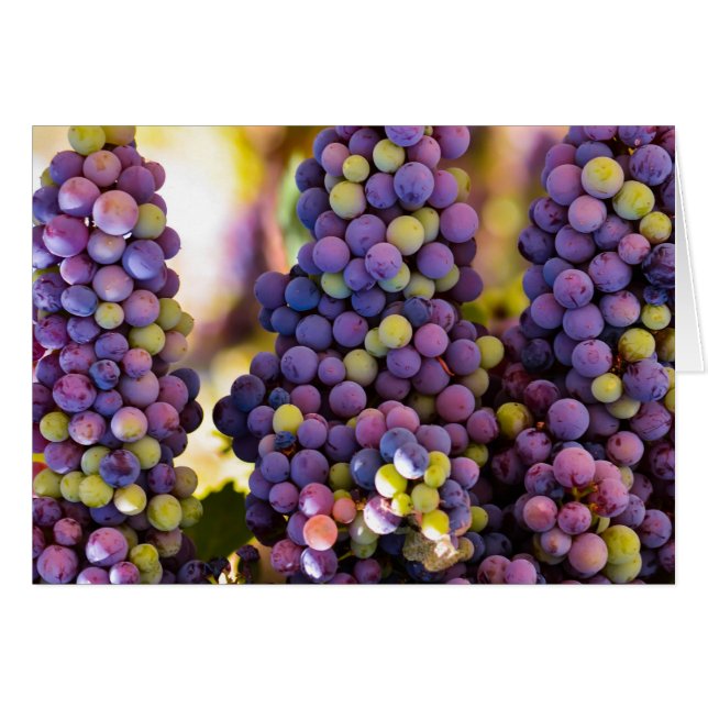 Hanging Grape Bunches (Front Horizontal)