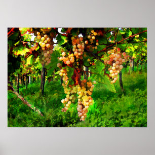 Hanging Grapes on the Vines Poster