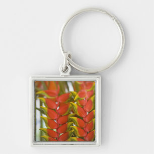 Hanging Heliconia, Weekly Tuesday fruit & Key Ring