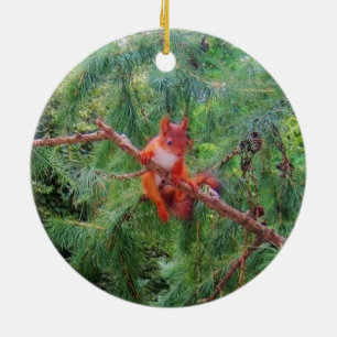 Hanging in There Ceramic Ornament