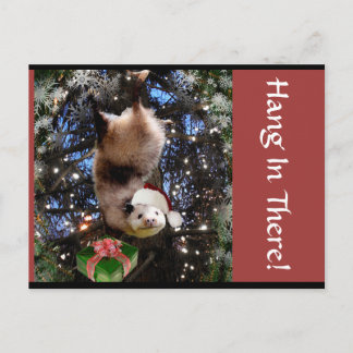 Hanging In There! Christmas Postcard