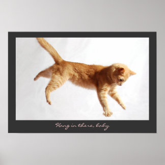 Hanging In There Poster