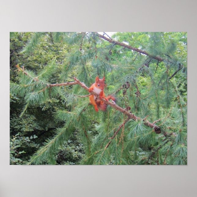 Hanging in There Poster (Front)