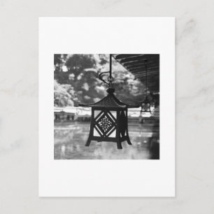 Hanging Lanterns Photography Postcard