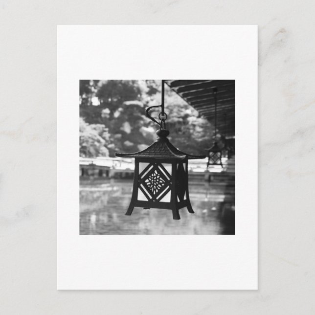 Hanging Lanterns Photography Postcard (Front)