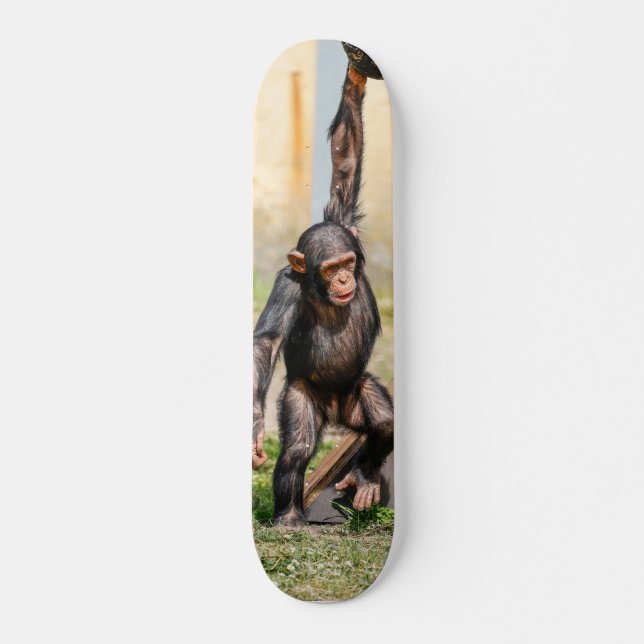 Hanging Monkey Skateboard (Front)