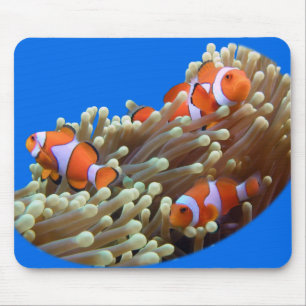 Hanging Out with Clown Fish Mouse Pad