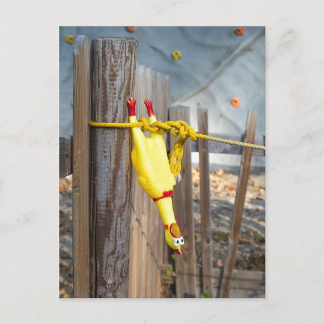 Hanging Rubber Chicken Postcard (Front)
