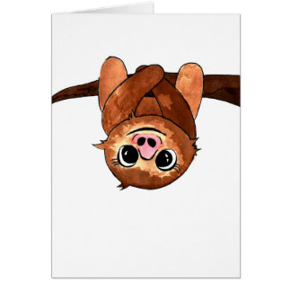 Hanging sloth