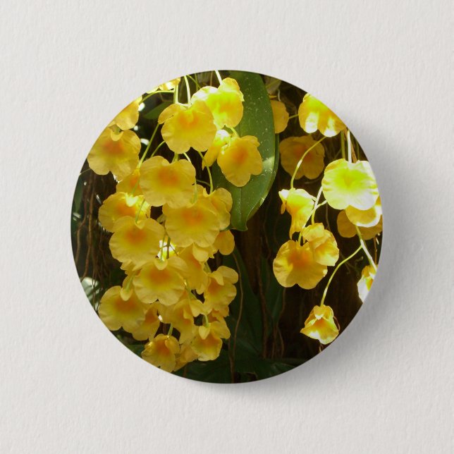 Hanging Yellow Orchids Tropical Flowers 6 Cm Round Badge (Front)