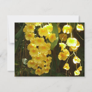 Hanging Yellow Orchids Tropical Flowers Card