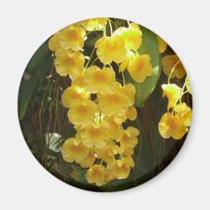 Hanging Yellow Orchids Tropical Flowers Magnet