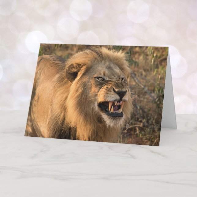 Hangry Lion Let's Do Lunch Customise Card (Creator Uploaded)