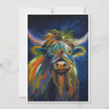 HAngus Highland cow