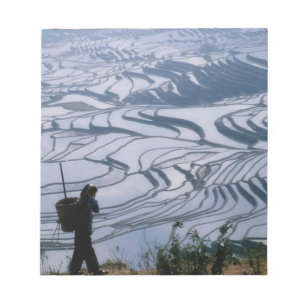 Hani girl carrying basket with rice terrace, notepad